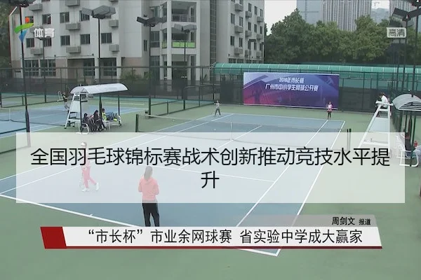 全国羽毛球锦标赛战术创新推动竞技水平提升